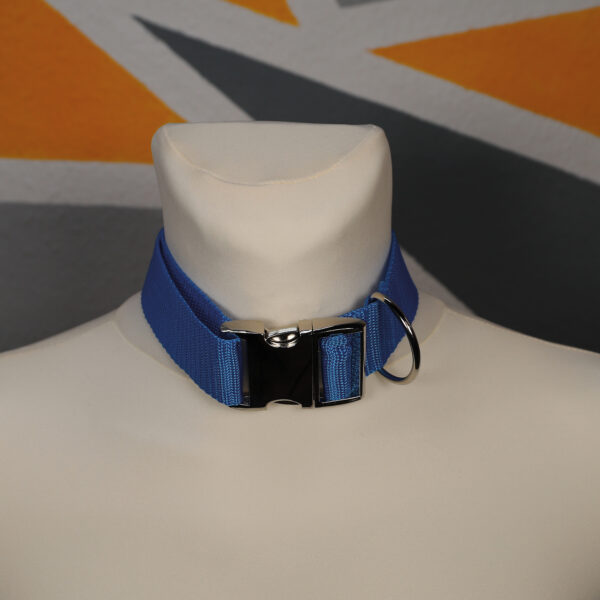 Halsband │Blau