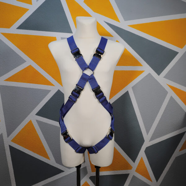 Harness │ Cody – Bild 2