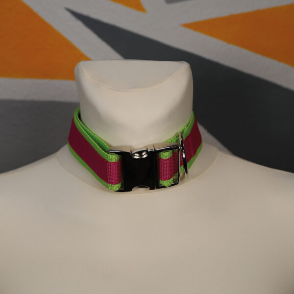 Halsband │Limone-Pink